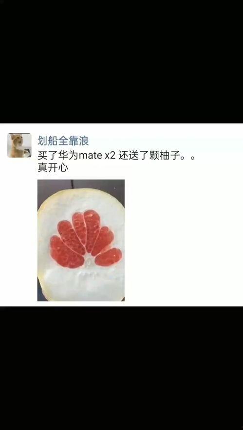 国产肉视频,视频揭秘美味背后的故事